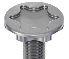plastorx head transparent
